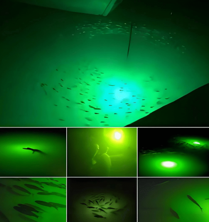 Leedmart 130W LED Night Fishing Light IP68 Waterproof Underwater DC24V Attracting Fishing Ligh - 图片 5